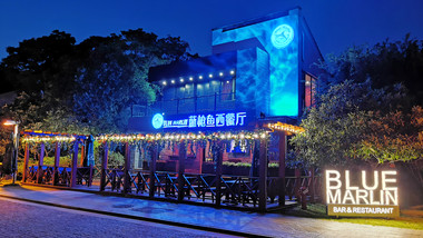 蓝枪鱼的图标