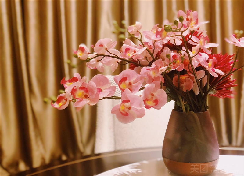 小象Usmile·粉钻SPA养生会所的图标