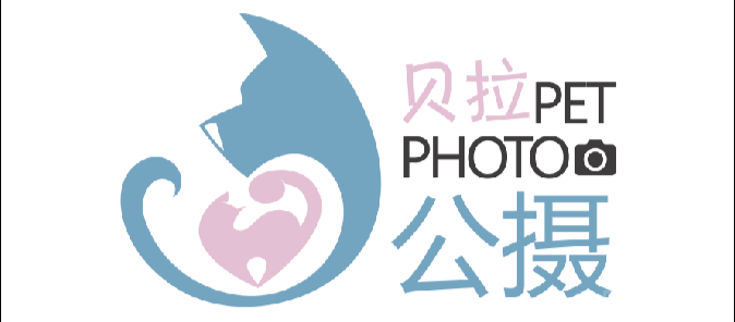 贝拉公摄的图标