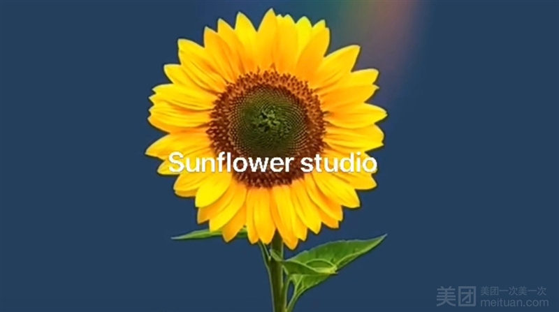 sunflower studio美容中心的图标