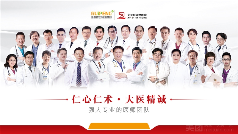 安安宠医（吴庄分院）的图标