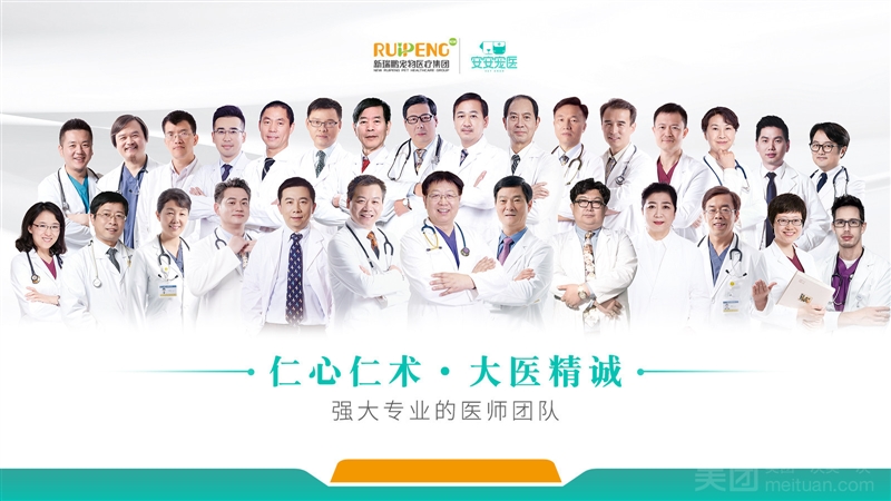 安安宠医（春泽园分院）的图标