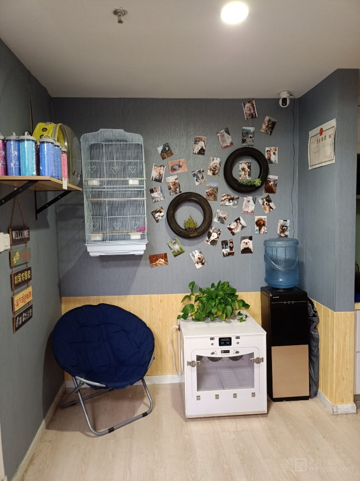 乔小宠宠物美容工作店的图标