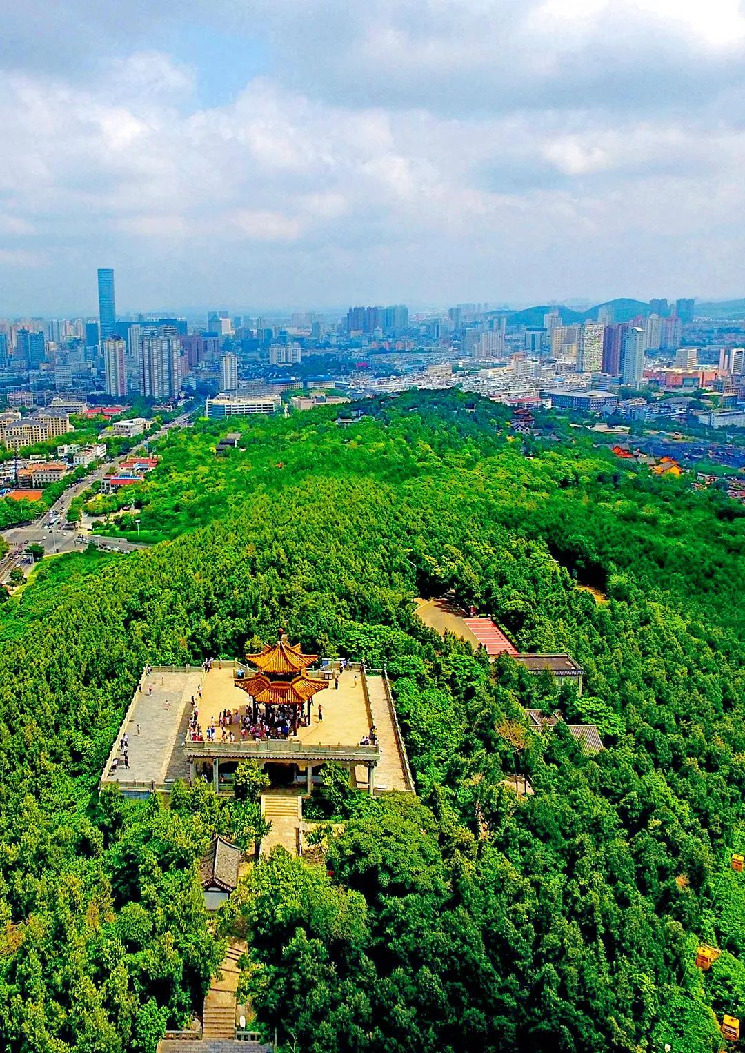 图片