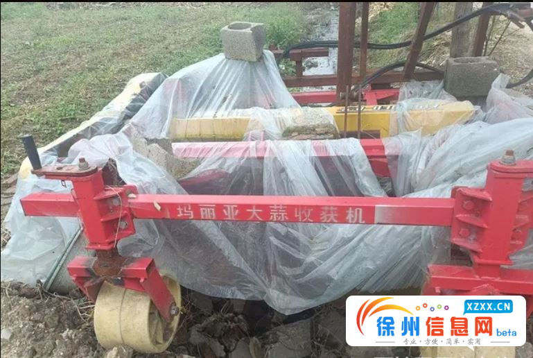 玛丽亚大蒜收获机