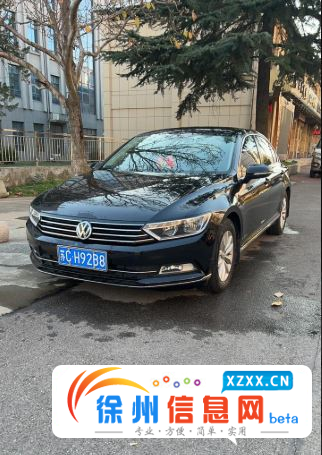 大众 大众Magotan [迈腾] 2019款 B8 Var 