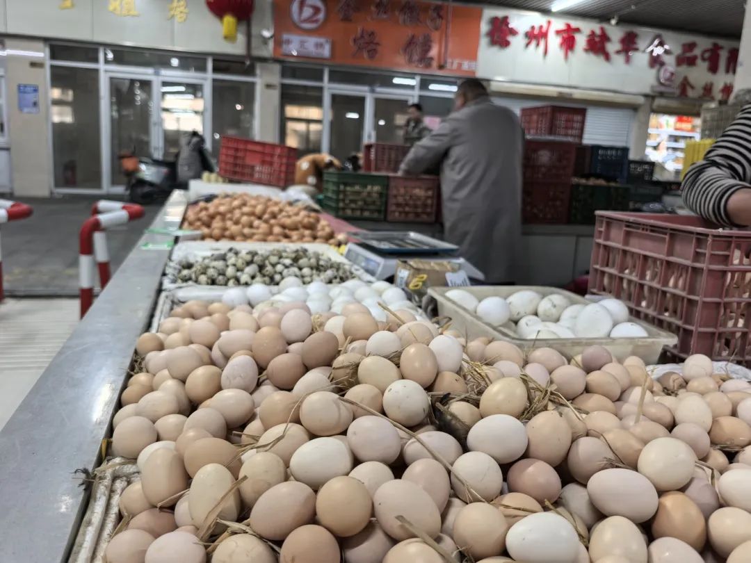 微信图片_20250411152559.jpg