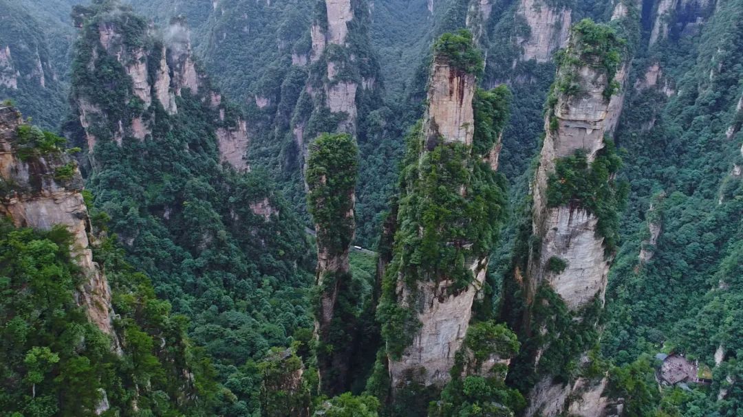 摄图网_501624872_张家界武陵源峰林(企业商用).jpg