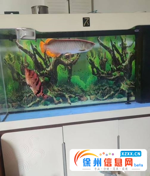 鱼缸