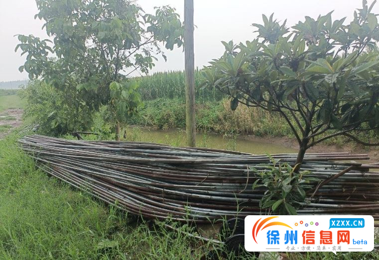 12米宽3亩地大棚管低价转让