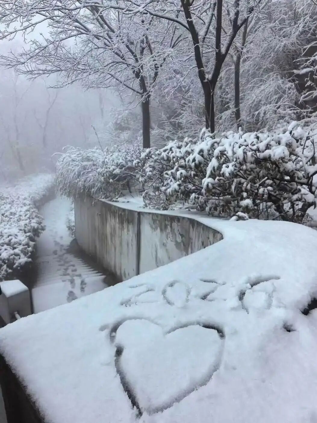 微信图片_20260130170516_263_78