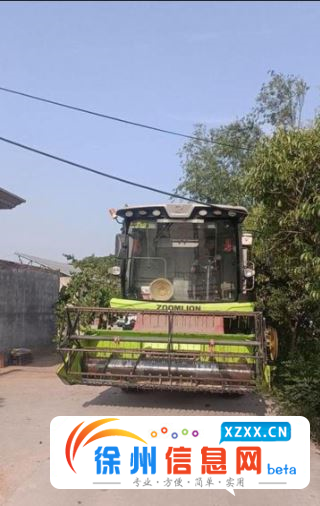 转让200年谷王90G 